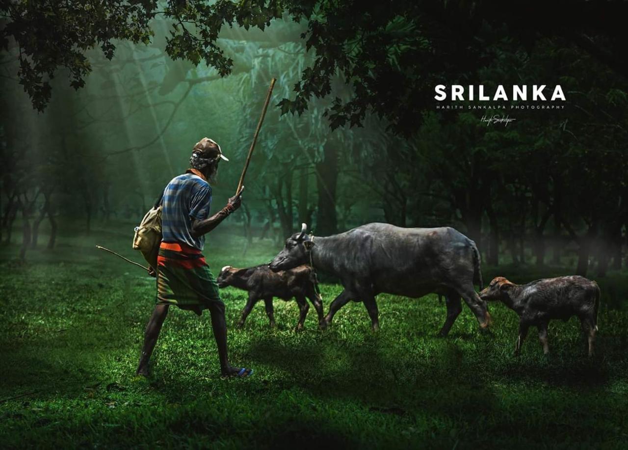Mindana Residence Anuradhapura Eksteriør bilde