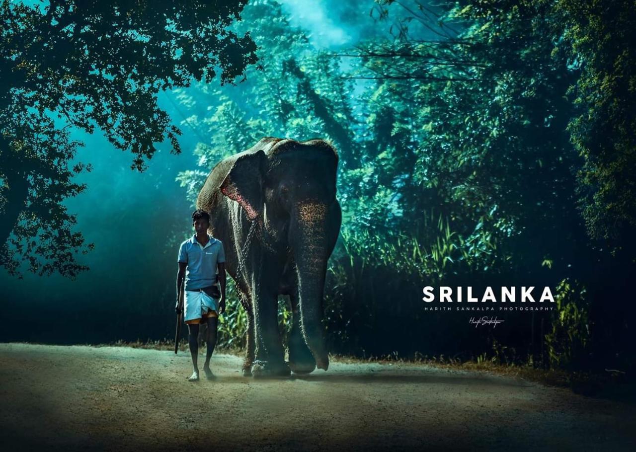 Mindana Residence Anuradhapura Eksteriør bilde