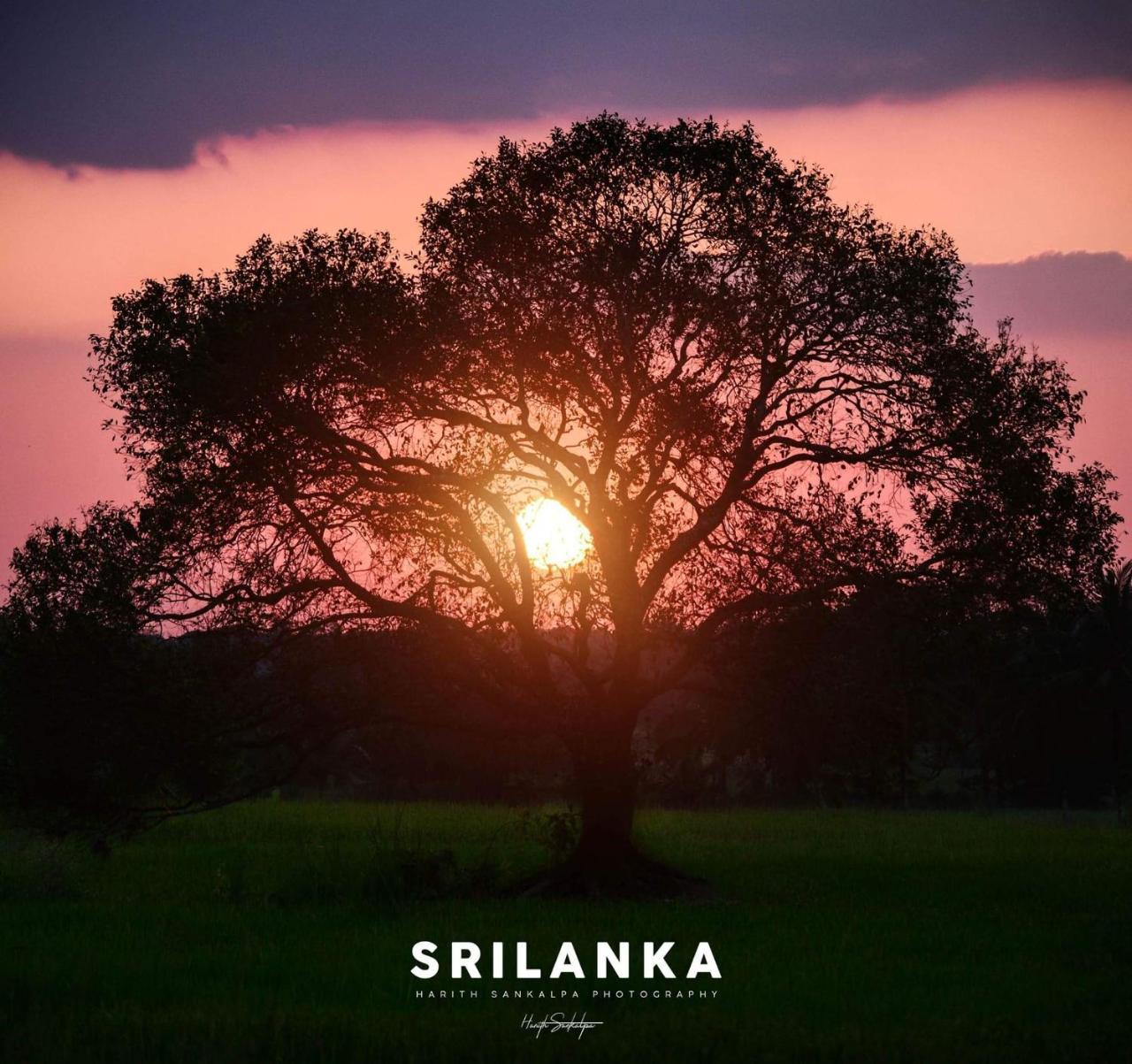 Mindana Residence Anuradhapura Eksteriør bilde